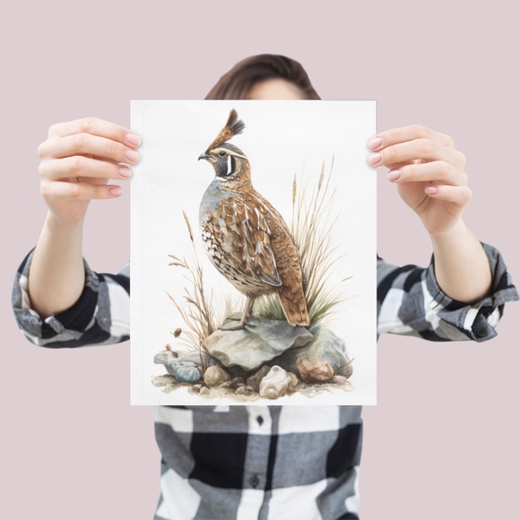 Watercolor Quail Wall Art Print, Unframed - Vibrant Nature-Inspired Home Decor - Picture 4 of 6